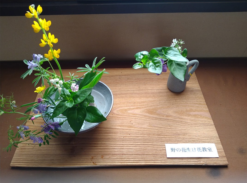 野の花生け花教室（花材、飲み物付）